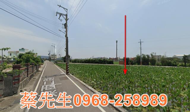 大安區法拍農地-13