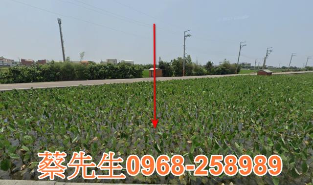 大安區法拍農地-0