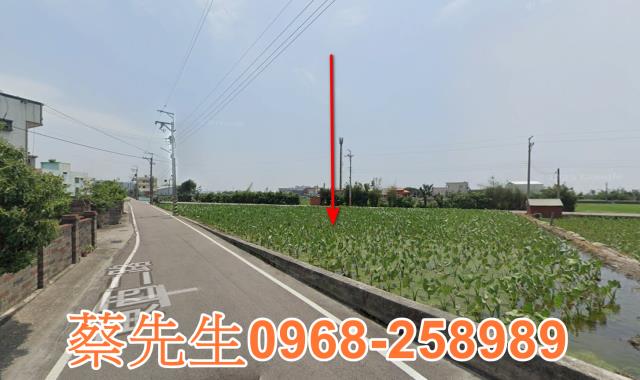 大安區法拍農地-6