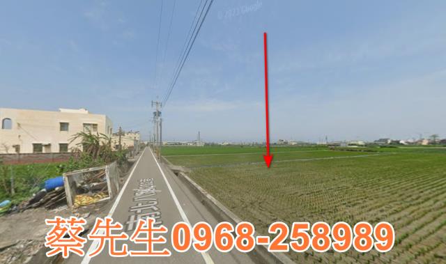 大安區法拍農地-13