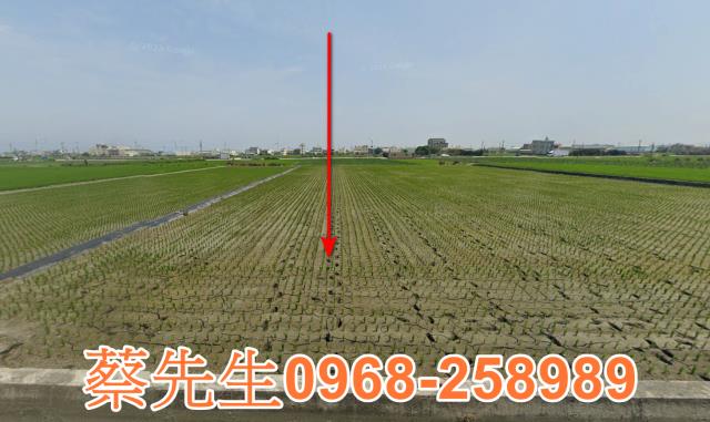 大安區法拍農地-0