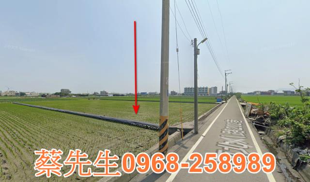 大安區法拍農地-4