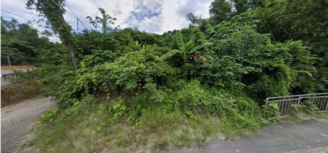 高雄田寮法拍農地-0