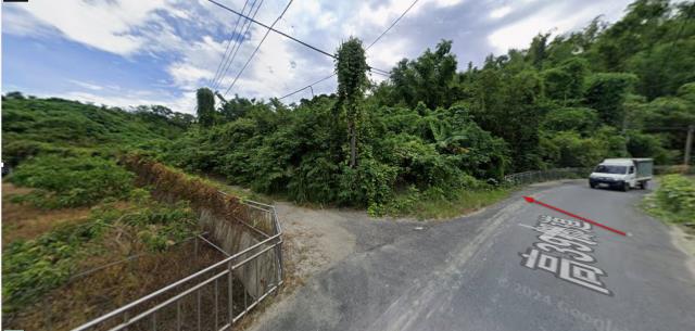 高雄田寮法拍農地-3