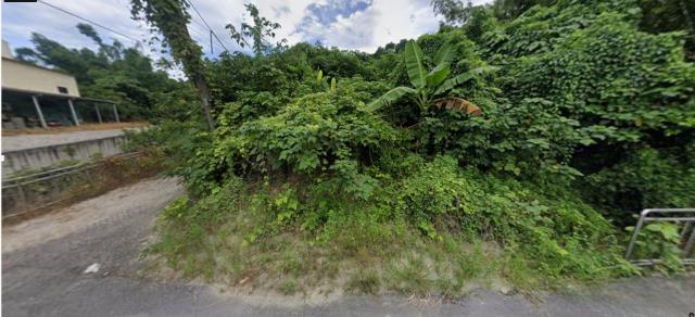 高雄田寮法拍農地-8