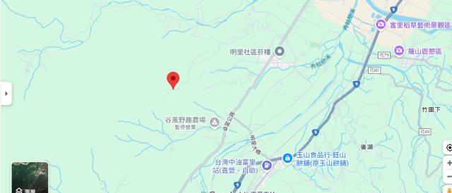 花蓮卓溪法拍農地-4