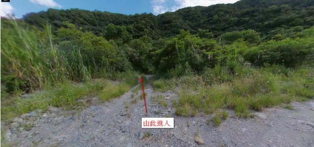 花蓮卓溪法拍農地-8