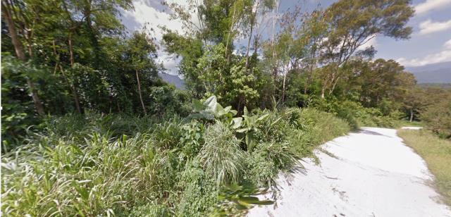 花蓮富里法拍農地-11