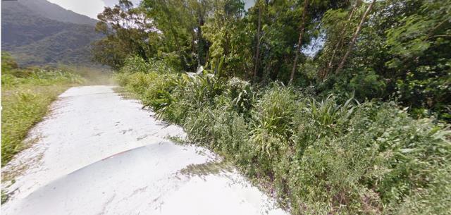 花蓮富里法拍農地-12