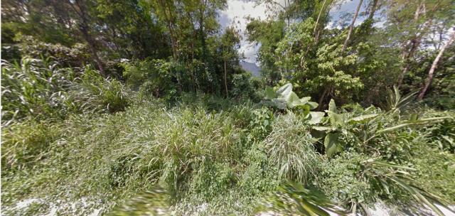 花蓮富里法拍農地-8