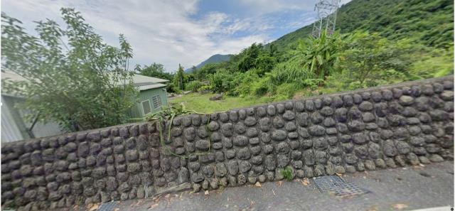 花蓮秀林建地法拍-8