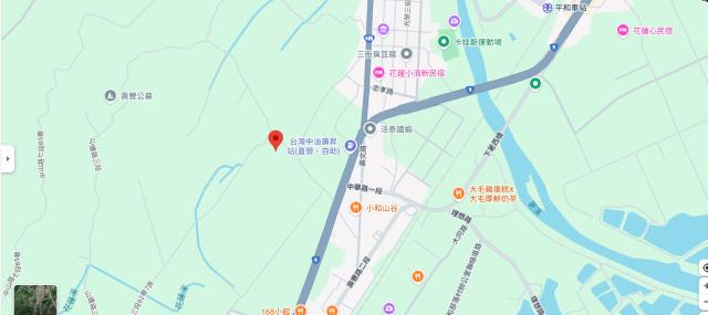 花蓮壽豐農地法拍-11