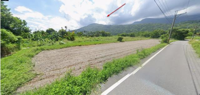 花蓮壽豐農地法拍-0