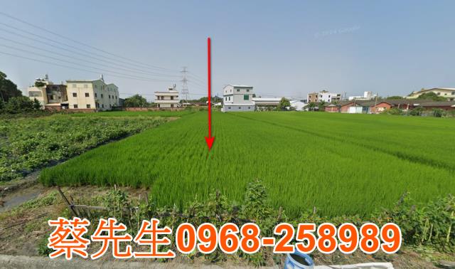 田中法拍農地-8