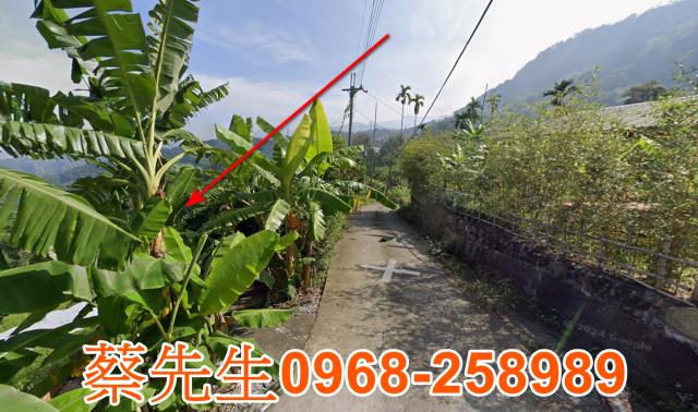 中寮法拍農地-14