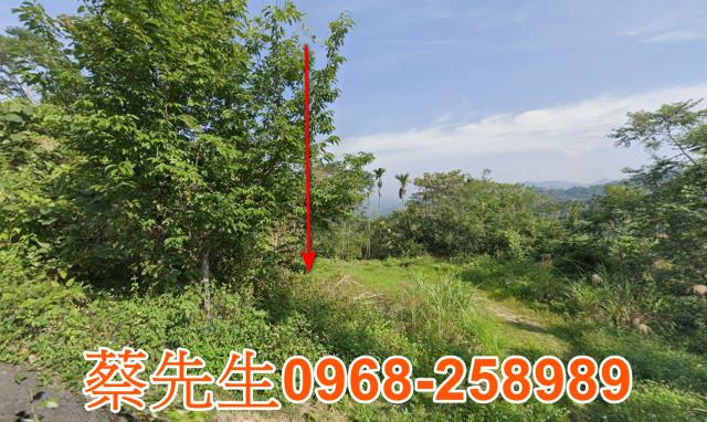 中寮法拍農地-0