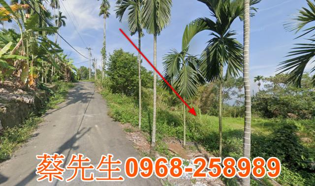 中寮法拍農地-4