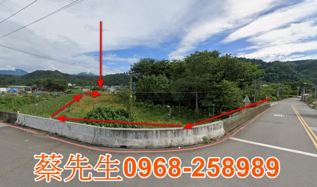 埔里農地法拍-12