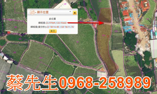 埔里農地法拍-2