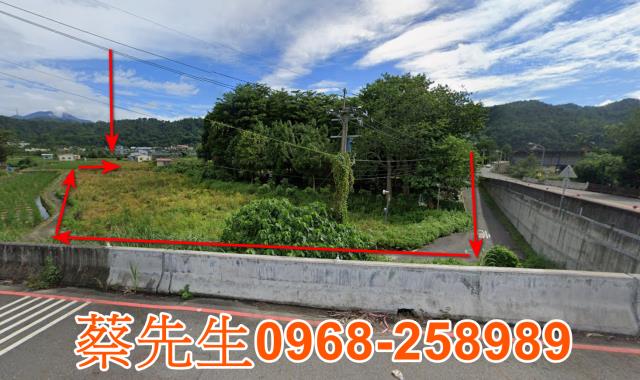 埔里農地法拍-3