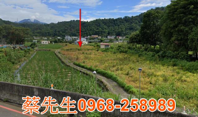 埔里農地法拍-8