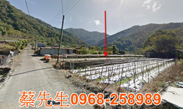 仁愛鄉法拍農地-11