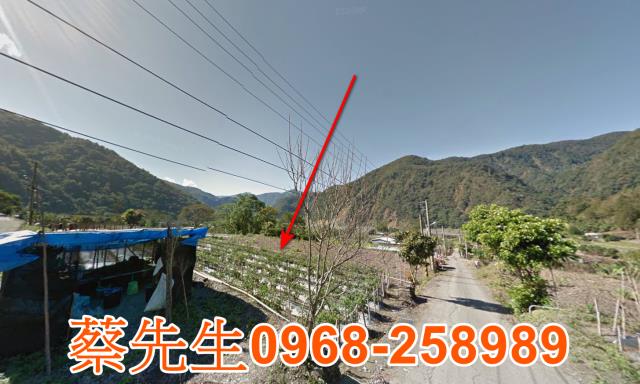 仁愛鄉法拍農地-13