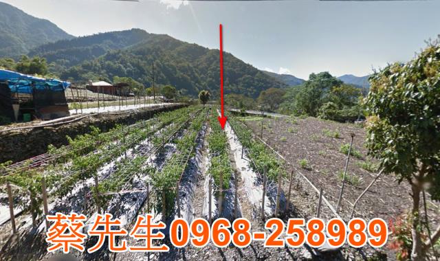 仁愛鄉法拍農地-0