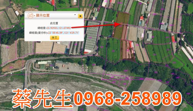 仁愛鄉法拍農地-2