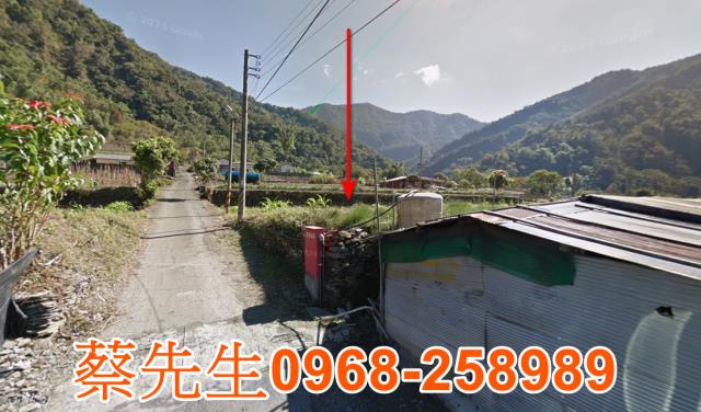 仁愛鄉法拍農地-4