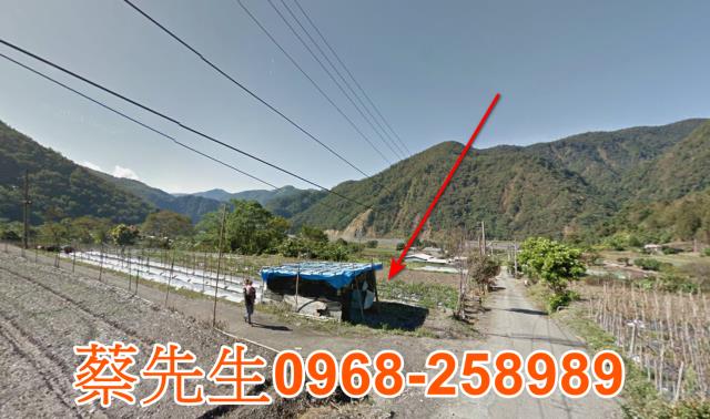 仁愛鄉法拍農地-6