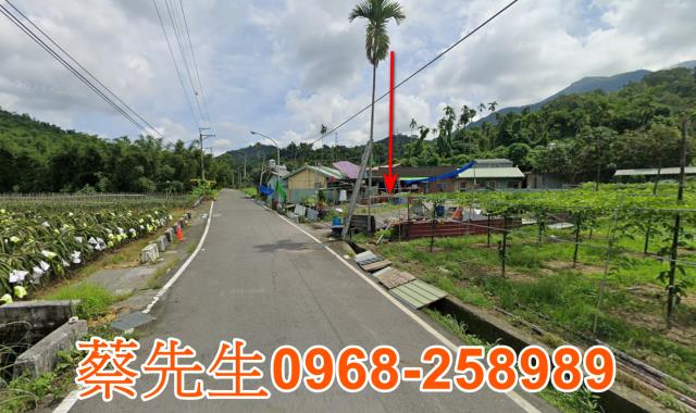 集集法拍建地-4