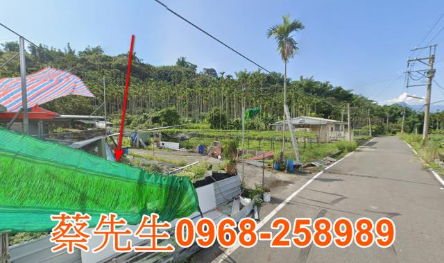 集集法拍建地-5