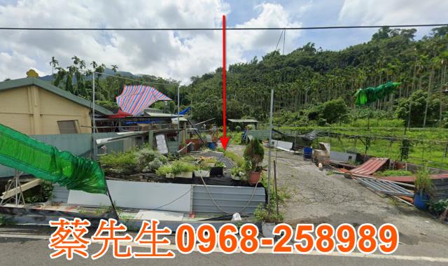 集集法拍建地-8