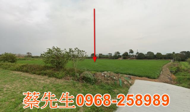 嘉義農地拍賣-0