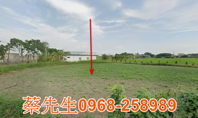 嘉義新港農地法拍-5