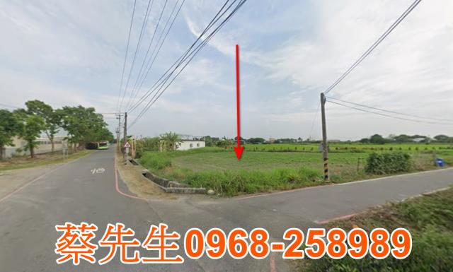 嘉義新港農地法拍-8