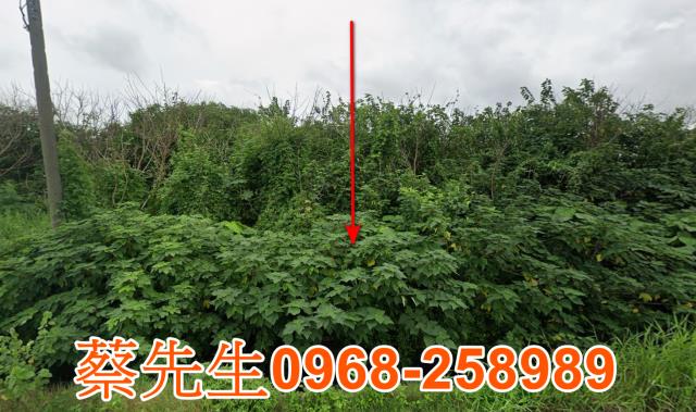 東勢鄉農地法拍-0