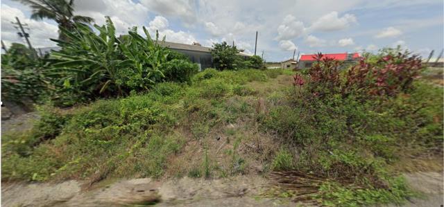 台南學甲法拍建地-0