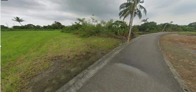 台南法拍農地-11