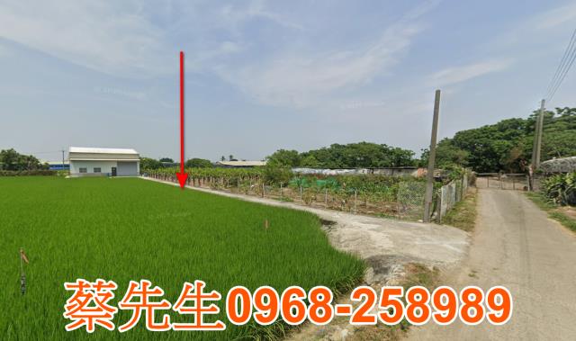 嘉義太保法拍農地-12