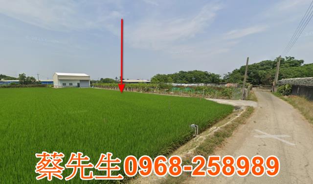 嘉義太保法拍農地-5