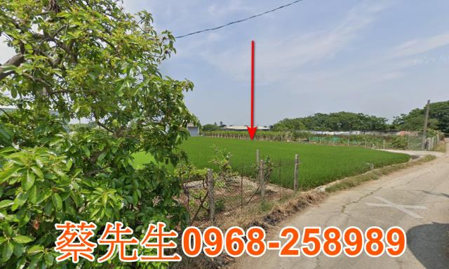 嘉義太保法拍農地-6