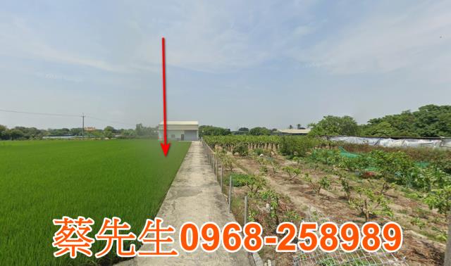 嘉義太保法拍農地-8