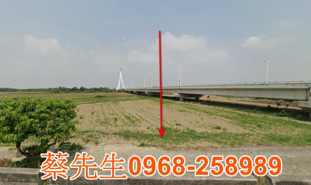 嘉義朴子農地法拍-0