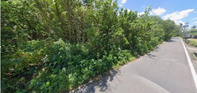 台南安定殯葬用地拍賣-11