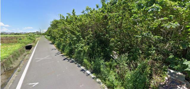 台南安定殯葬用地拍賣-4