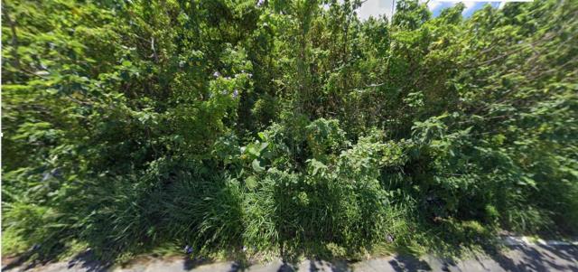 台南安定法拍殯葬用地-0