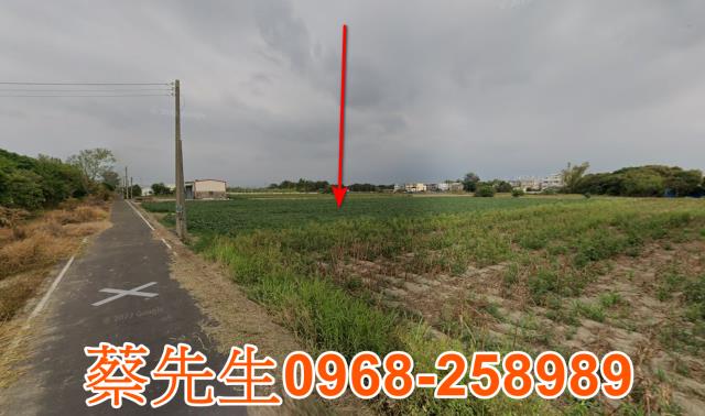 嘉義農地法拍-14