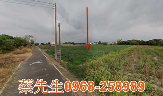 嘉義農地法拍-5